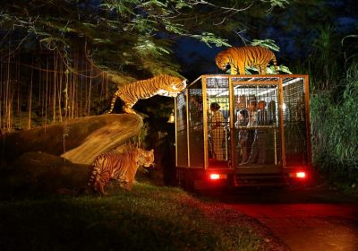 Bali Safari & Marine Park