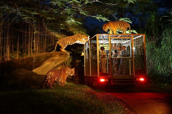 Bali Safari & Marine Park
