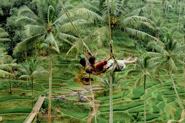 Alas Harum Bali; Tickets, Swings