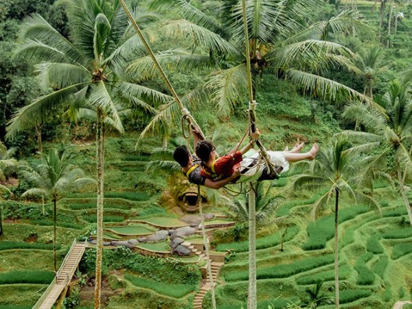 Alas Harum Bali; Tickets, Swings