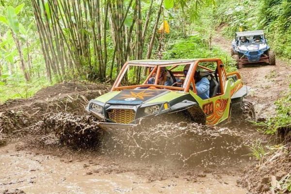 Alasan Adventures: UTV Ride Experience In Ubud