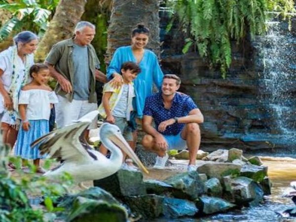 Bali Bird Park Experience