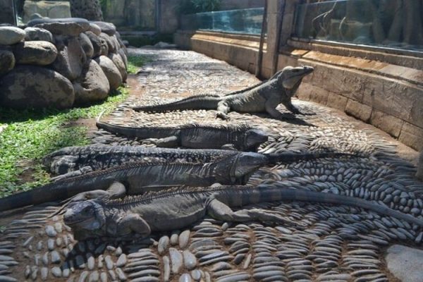 Bali Reptile Park Tickets