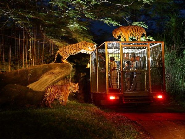 The Amazing Taman Safari Bali