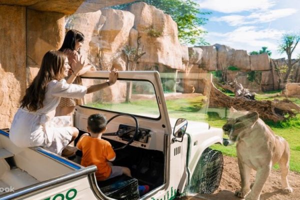 Bali Zoo Experience