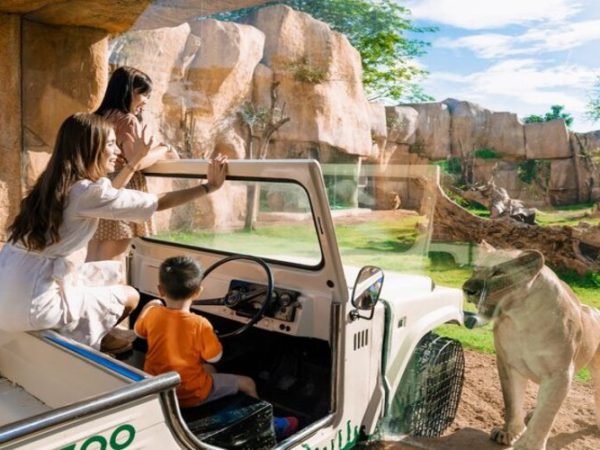 Bali Zoo Experience