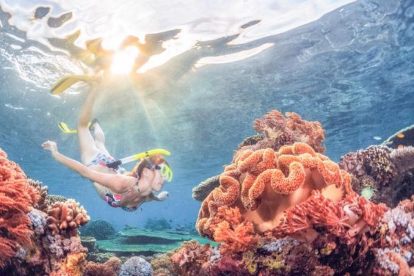 Blue Lagoon Snorkeling Experience