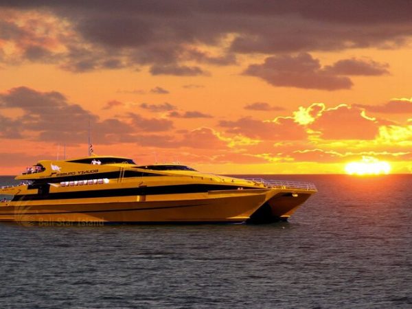 Bounty Cruise Experience