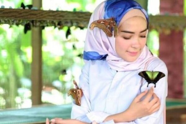 Kemenuh Butterfly Park Experience